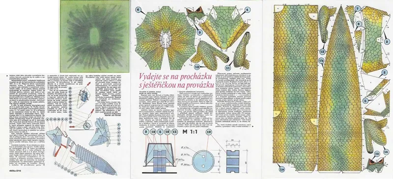  Jašterička na špagáte